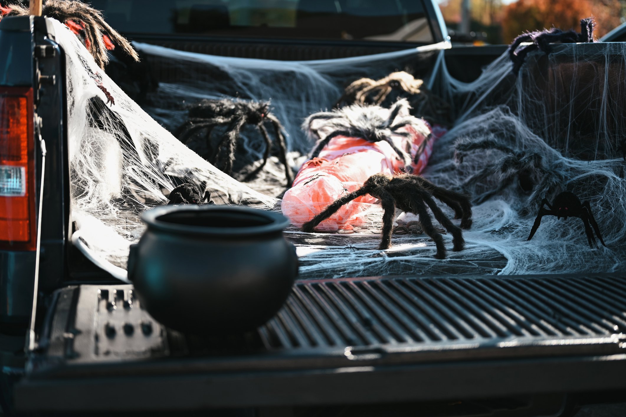 halloween decorated trunk at Oakberry Trails