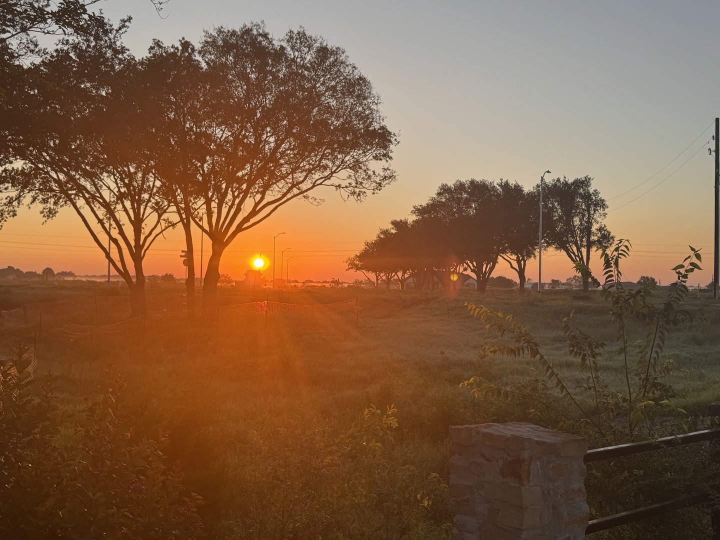 D7F018C1-4480-4FFE-9C81-C2D8438B1852_resized