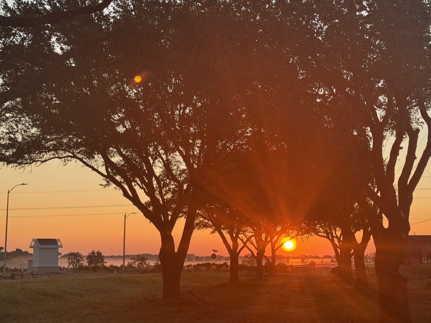 FF394EA3-FF90-4BAE-A717-0A911F4B3EC5_resized