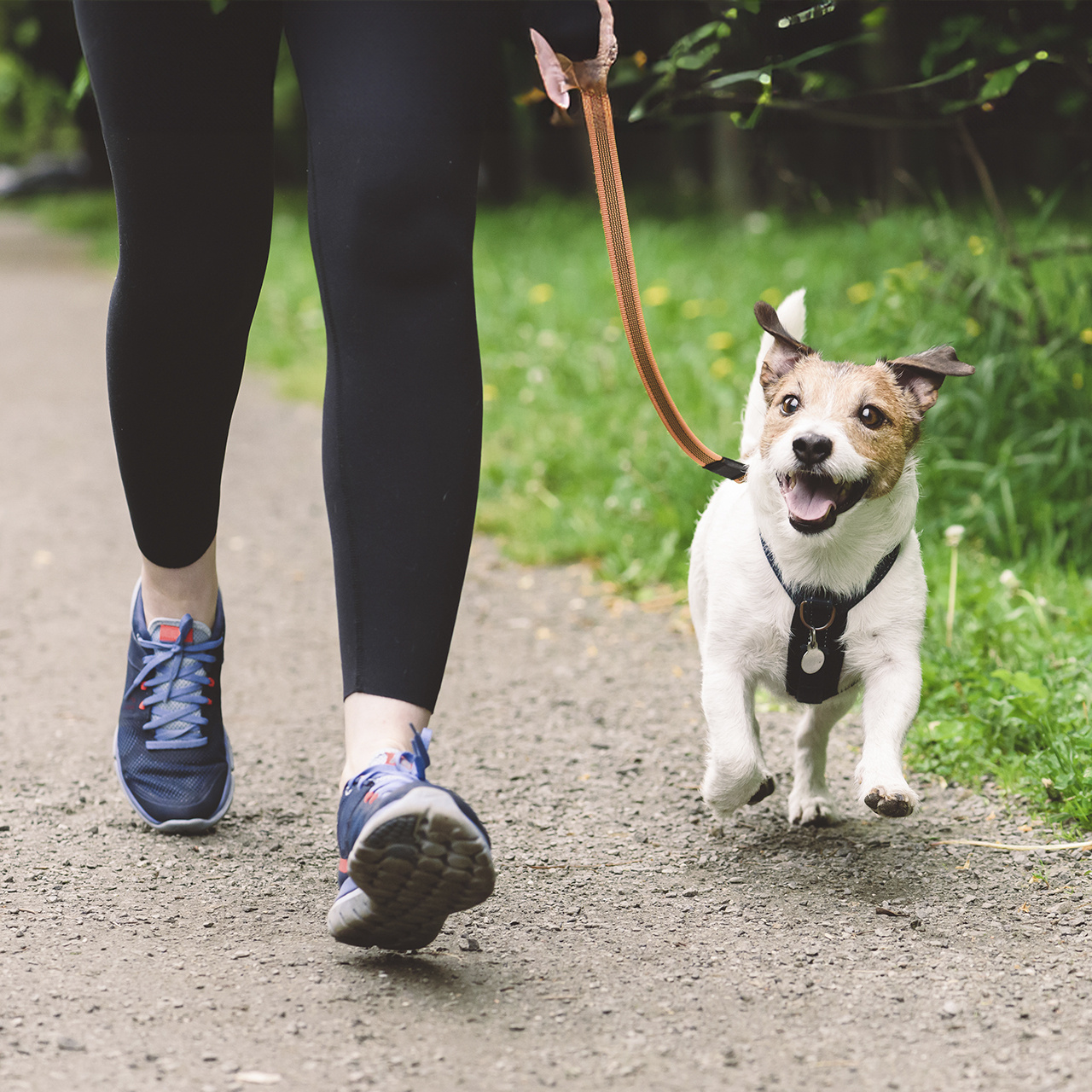 GettyImages-1442143816-1280x1280