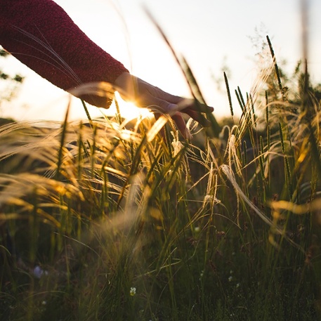 Waller TX Rooted in Nature-1