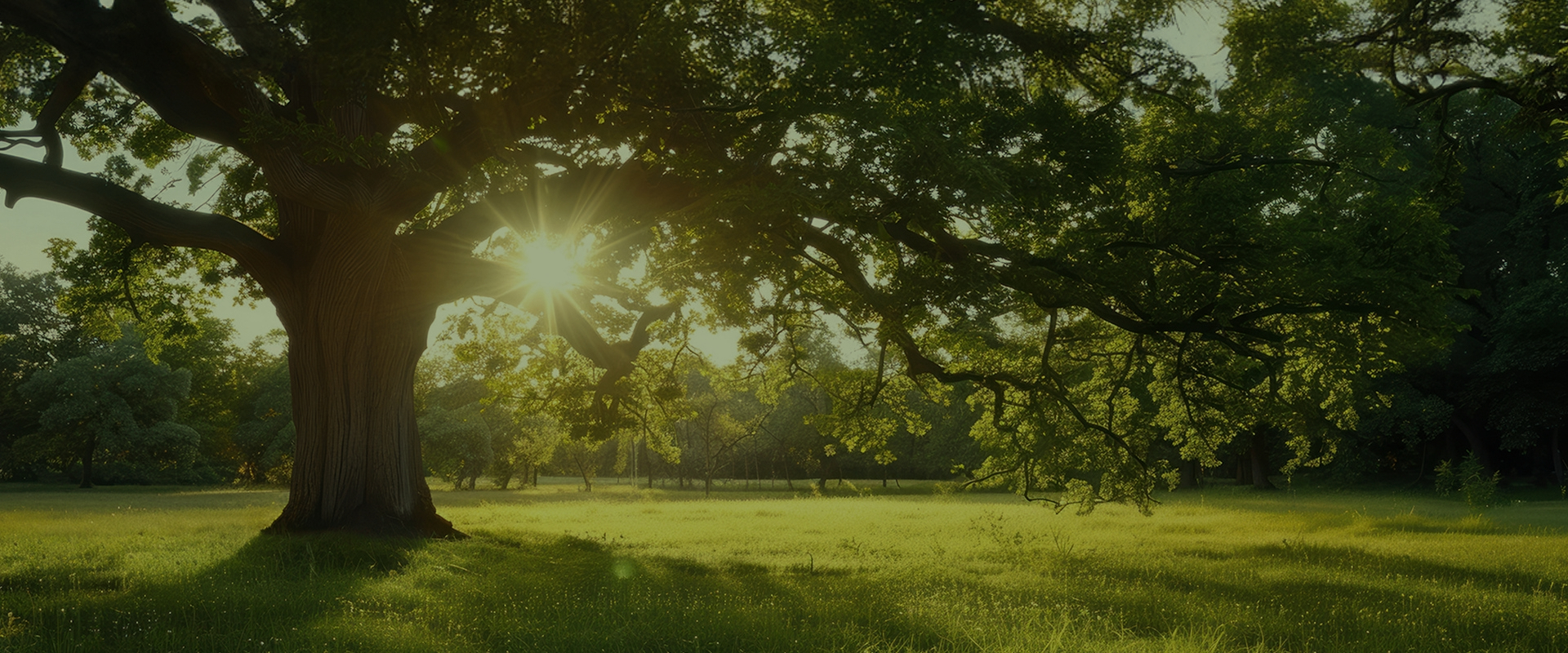 builders-header-1920x800-2
